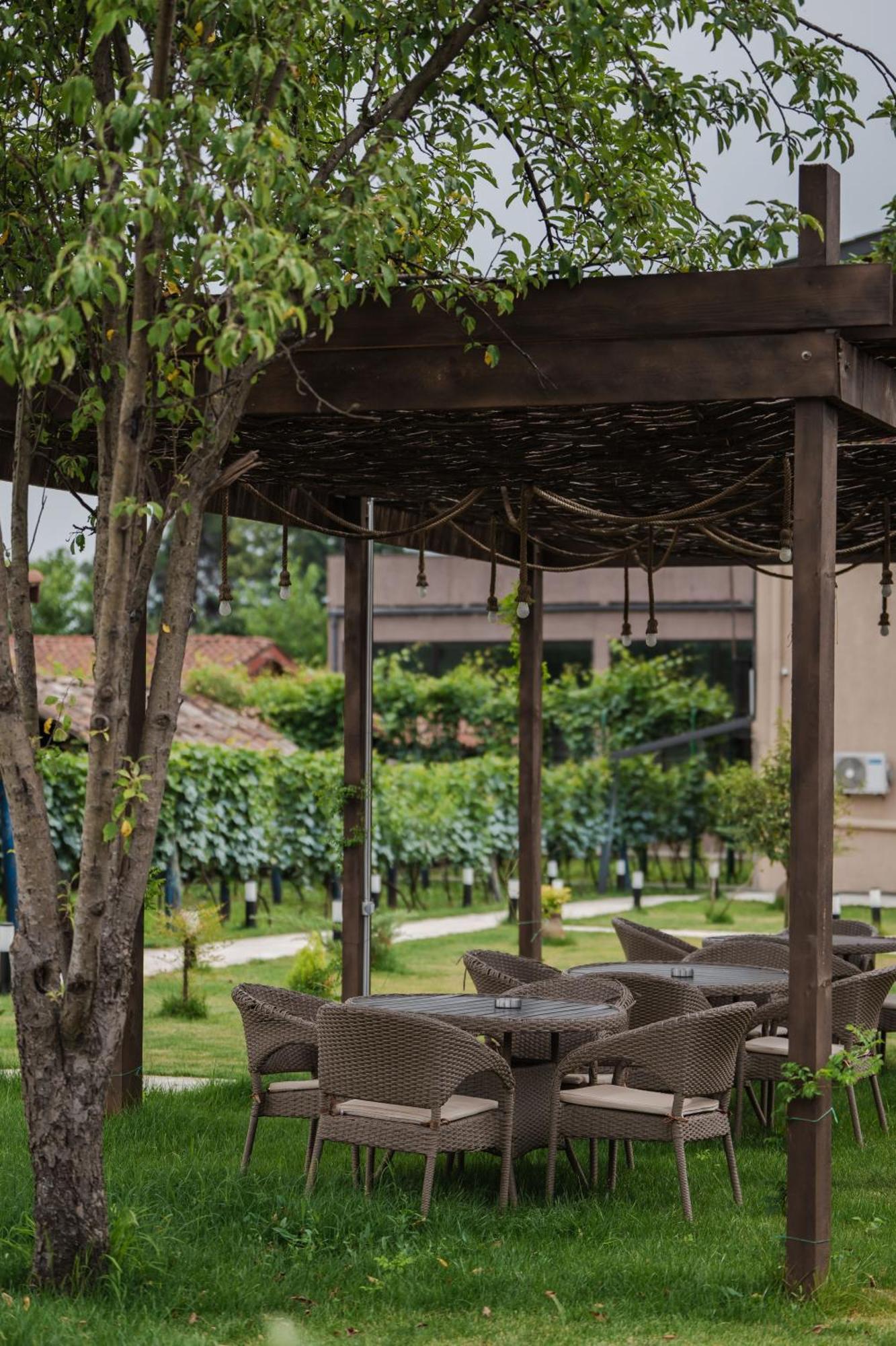 Vineyard Hotel & Winery Napareuli Exterior foto